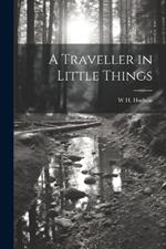 A Traveller in Little Things