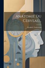 Anatomie Du Cerveau...