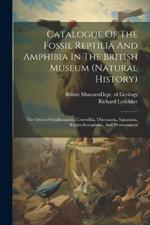 Catalogue Of The Fossil Reptilia And Amphibia In The British Museum (natural History): The Orders Ornithosauria, Crocodilia, Dinosauria, Squamata, Rhynochocephalia, And Proterosauria