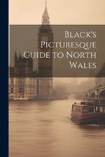 Black's Picturesque Guide to North Wales