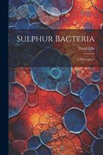 Sulphur Bacteria; a Monograph