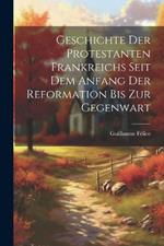 Geschichte der protestanten Frankreichs seit dem Anfang der Reformation bis zur Gegenwart