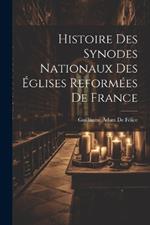 Histoire Des Synodes Nationaux Des Églises Reformées De France