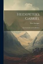 Heidepeter's Gabriel: Eine Geschichte in Zwei Büchern