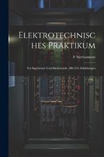 Elektrotechnisches Praktikum: Fur Ingenieure Und Studierende. Mit 523 Abbildungen
