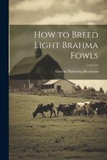 How to Breed Light Brahma Fowls