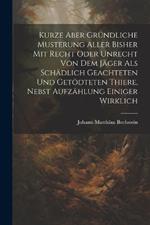 Kurze Aber Gründliche Musterung Aller Bisher Mit Recht Oder Unrecht Von Dem Jäger Als Schädlich Geachteten Und Getödteten Thiere, Nebst Aufzählung Einiger Wirklich