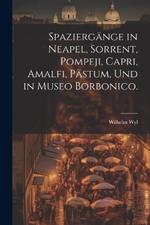 Spaziergänge in Neapel, Sorrent, Pompeji, Capri, Amalfi, Pästum, und in Museo Borbonico.