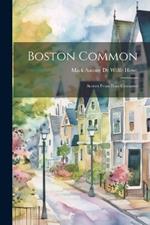 Boston Common: Scenes From Four Centuries