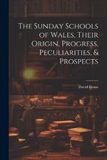 The Sunday Schools of Wales, Their Origin, Progress, Peculiarities, & Prospects