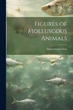 Figures of Molluscous Animals