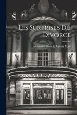 Les Surprises Du Divorce