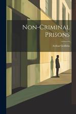 Non-Criminal Prisons