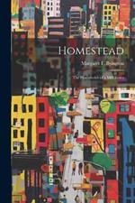 Homestead [electronic Resource]: The Households of a Mill Town