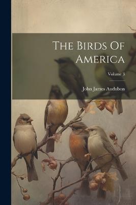 The Birds Of America; Volume 3 - John James Audubon - cover