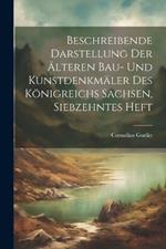 Beschreibende Darstellung der älteren Bau- und Kunstdenkmäler des Königreichs Sachsen, Siebzehntes Heft