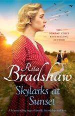 Skylarks At Sunset: An unforgettable saga of love, family and hope