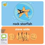 Rock Starfish