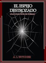 El espejo destrozado