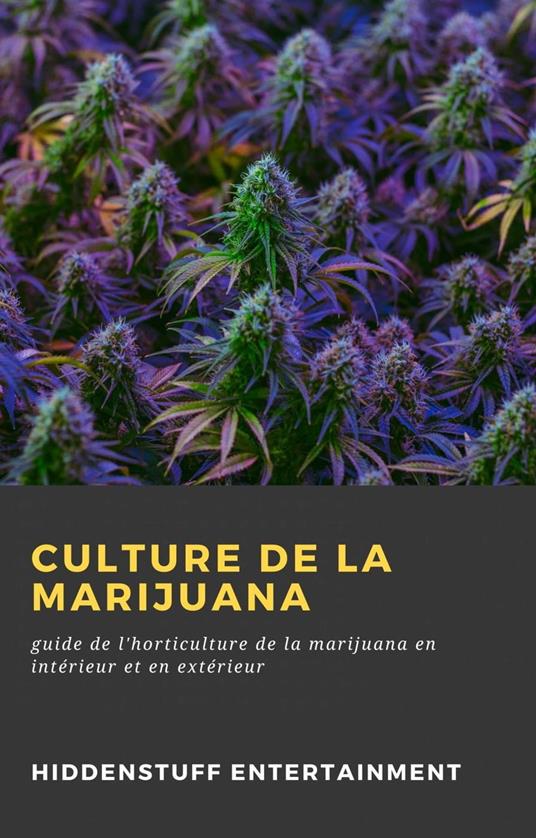 Culture de la Marijuana