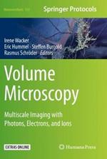 Volume Microscopy: Multiscale Imaging with Photons, Electrons, and Ions