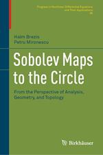 Sobolev Maps to the Circle