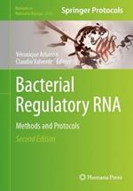 Bacterial Regulatory RNA: Methods and Protocols