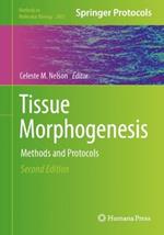 Tissue Morphogenesis: Methods and Protocols