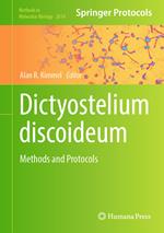 Dictyostelium discoideum