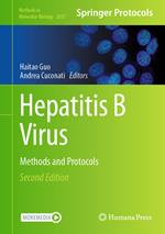 Hepatitis B Virus