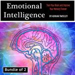 Emotional Intelligence