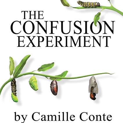 Confusion Experiment, The