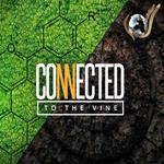 Connected To The Vine