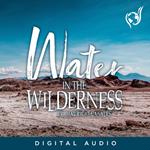 Water In The Wilderness