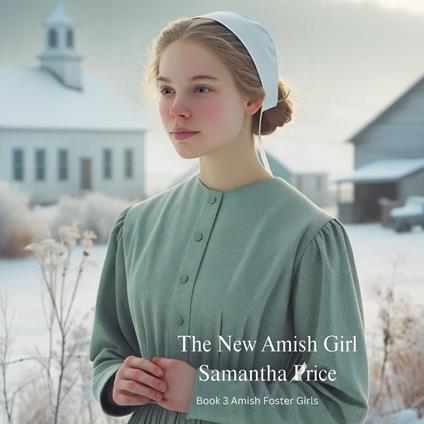 New Amish Girl, The