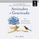 Attitudes of Gratitude