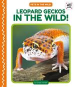 Leopard Geckos in the Wild!