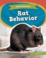 Rat Behavior