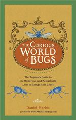 The Curious World of Bugs