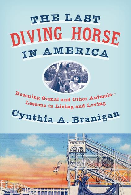 The Last Diving Horse in America