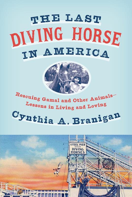 The Last Diving Horse in America