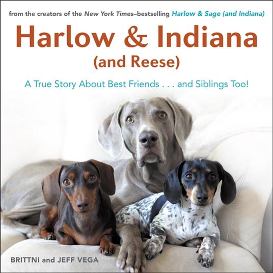 Harlow & Indiana (and Reese)