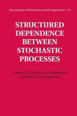 Structured Dependence between Stochastic Processes