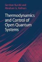 Thermodynamics and Control of Open Quantum Systems