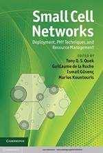Small Cell Networks