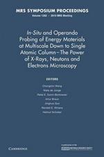 In-Situ and Operando Probing of Energy Materials at Multiscale Down to Single Atomic Column - The Power of X-Rays, Neutrons and Electron Microscopy: Volume 1262