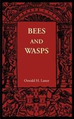 Bees and Wasps