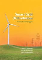 Smart Grid (R)Evolution: Electric Power Struggles