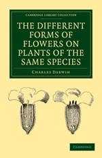 The Different Forms of Flowers on Plants of the Same Species