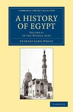 A History of Egypt: Volume 6, In the Middle Ages